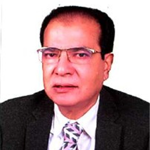 আসাদুল হাবিব দুলু
